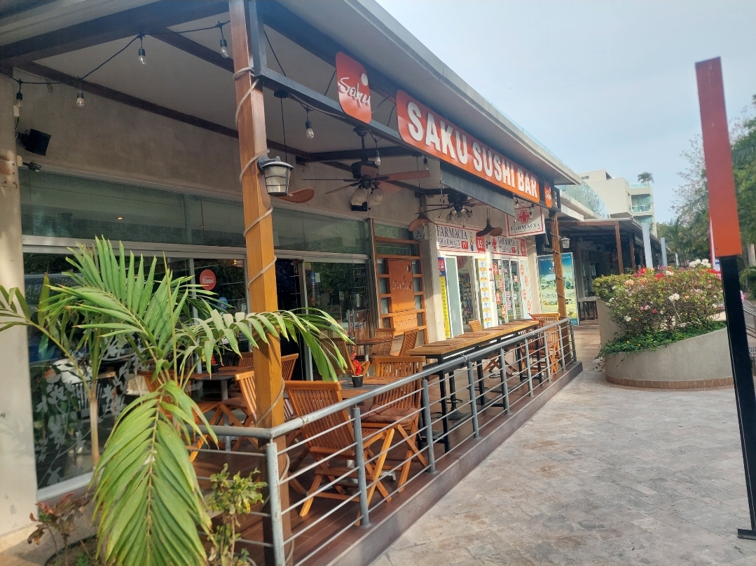 Saku Sushi Bar