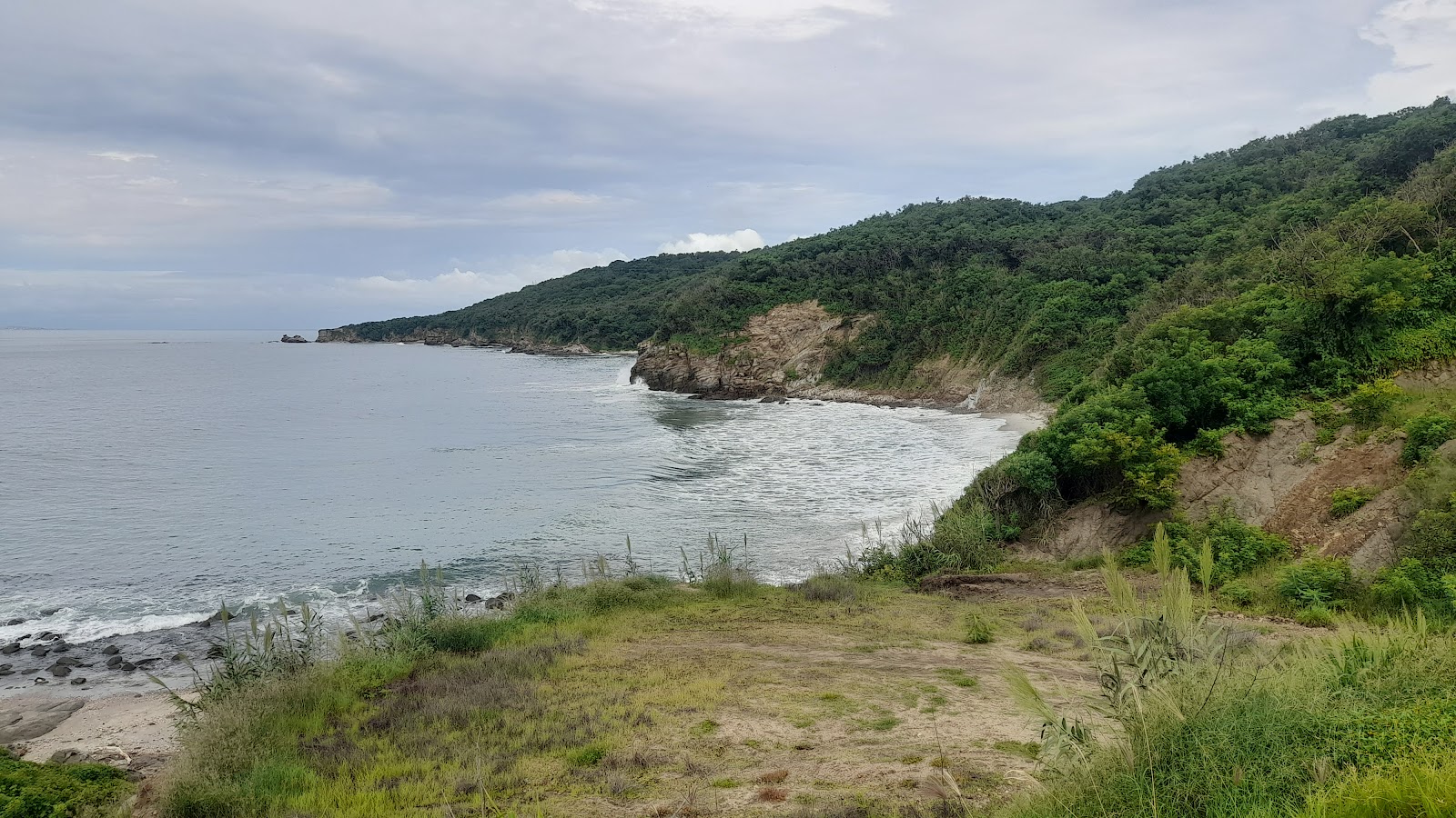 Mirador de palito verde