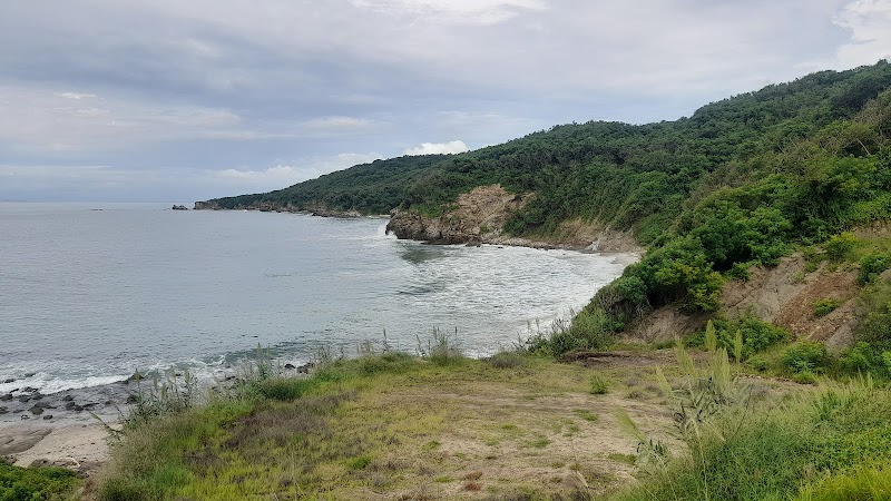 Mirador de palito verde